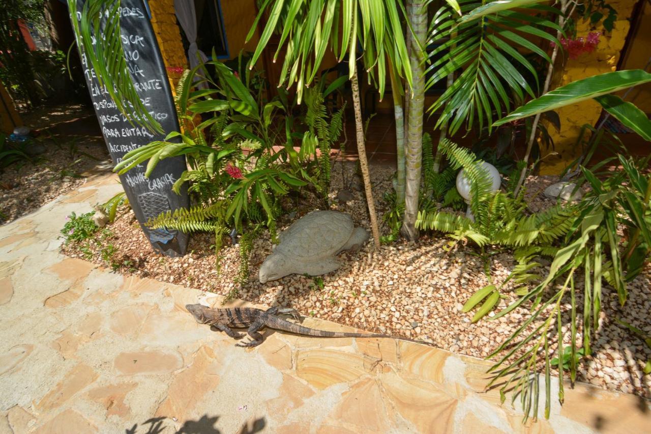 Conchal Hotel Брасилито Екстериор снимка